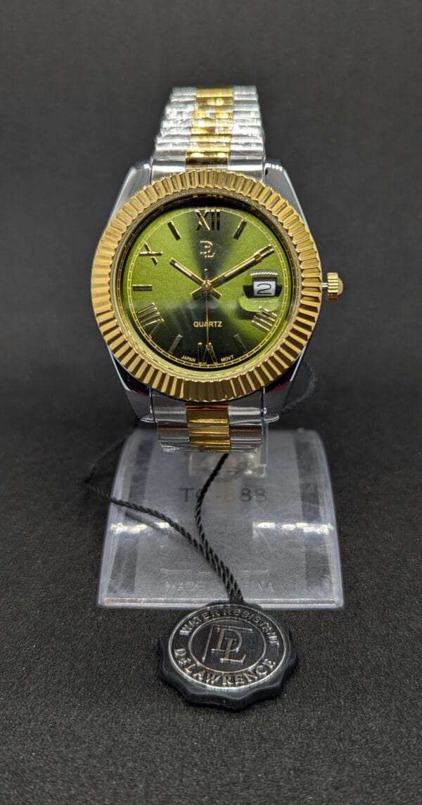 De Lawrence Men’s Wristwatch DLQ-141GD Silver & Golden Body With Green Dial